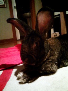 Complaining Doesn't Help, Even When Your Office Smells Like Pee