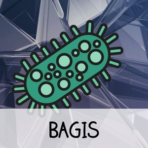 SQL Server 2026: BAGI Edition (#TSQL2SDAY 100!)