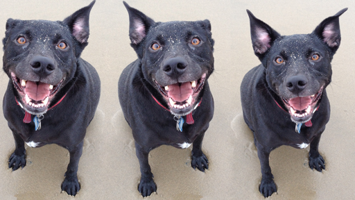 The #1 Thing You Forget to Do Before Presenting