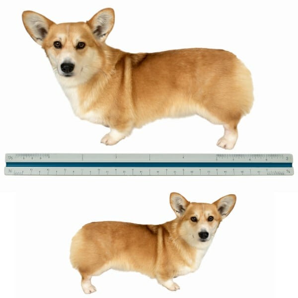 The SQL Server Data Row Size Question: Why Is It Bigger?