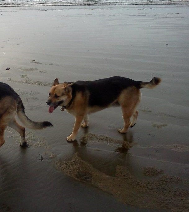 Remembering Robert Davis, aka @SQLSoldier