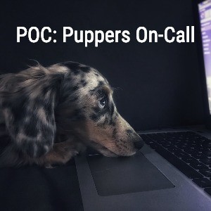 The 2019 State of SQL Server Monitoring Survey Is Open: Here's What's in It for You