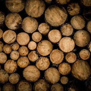 SQLPASS Day 2- Optimization Timeouts and All about TLogs