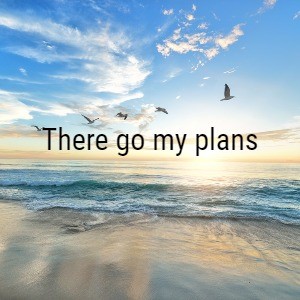 SQL PASS Day 1: To Free or Not To Free the Proc Cache?