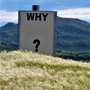 Who is using space in tempdb, and what is their execution plan?