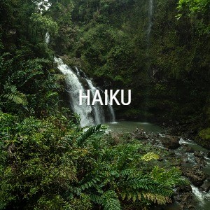 Haikus for SQL Saturday #43