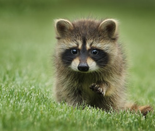 New Tricks I Learned from the Azure Data Studio Code Editor Tutorial