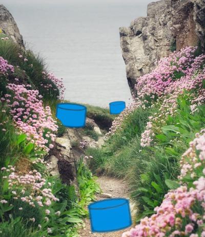 Learn Azure SQL with One Free Learning Path