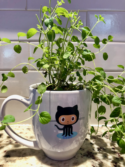 How I Accidentally Found a Passion for Plants (#TSQL2sDay 99)