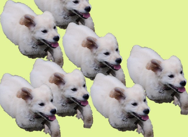 Review: A day of doing many things at once with @AdamMachanic