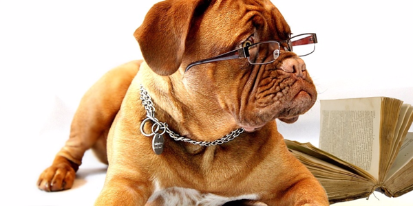 When does physical reads include read-ahead reads in SQL Server?