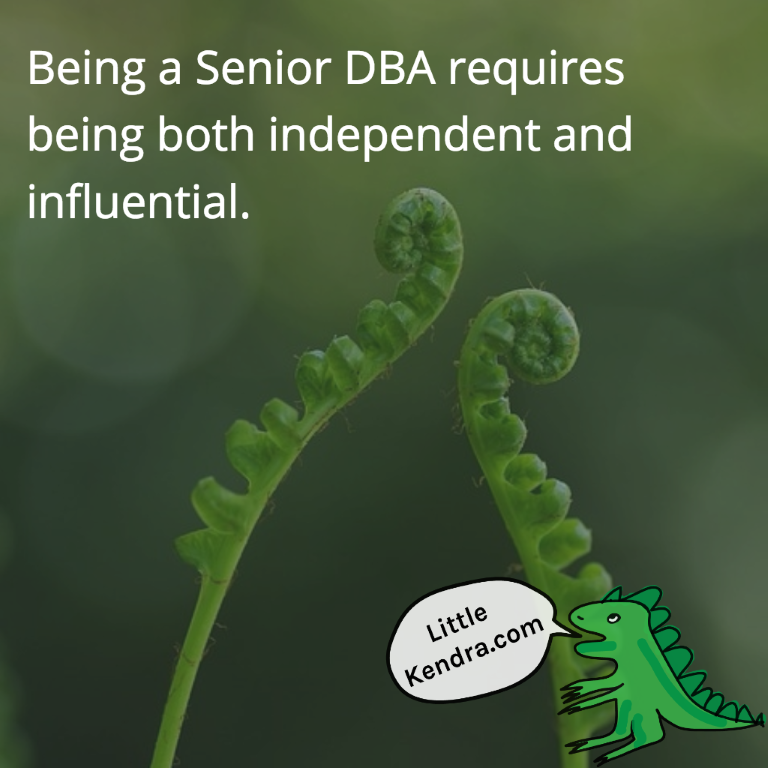 What is the Difference between a Junior and Senior DBA?