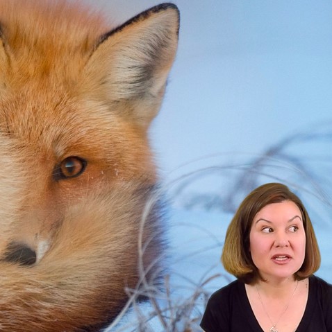 Using a Tail Log Backup in a SQL Server Migration (Dear SQL DBA Episode 34)